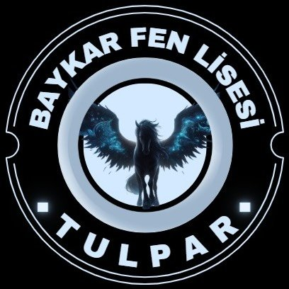 34034A Tulpar official team logo